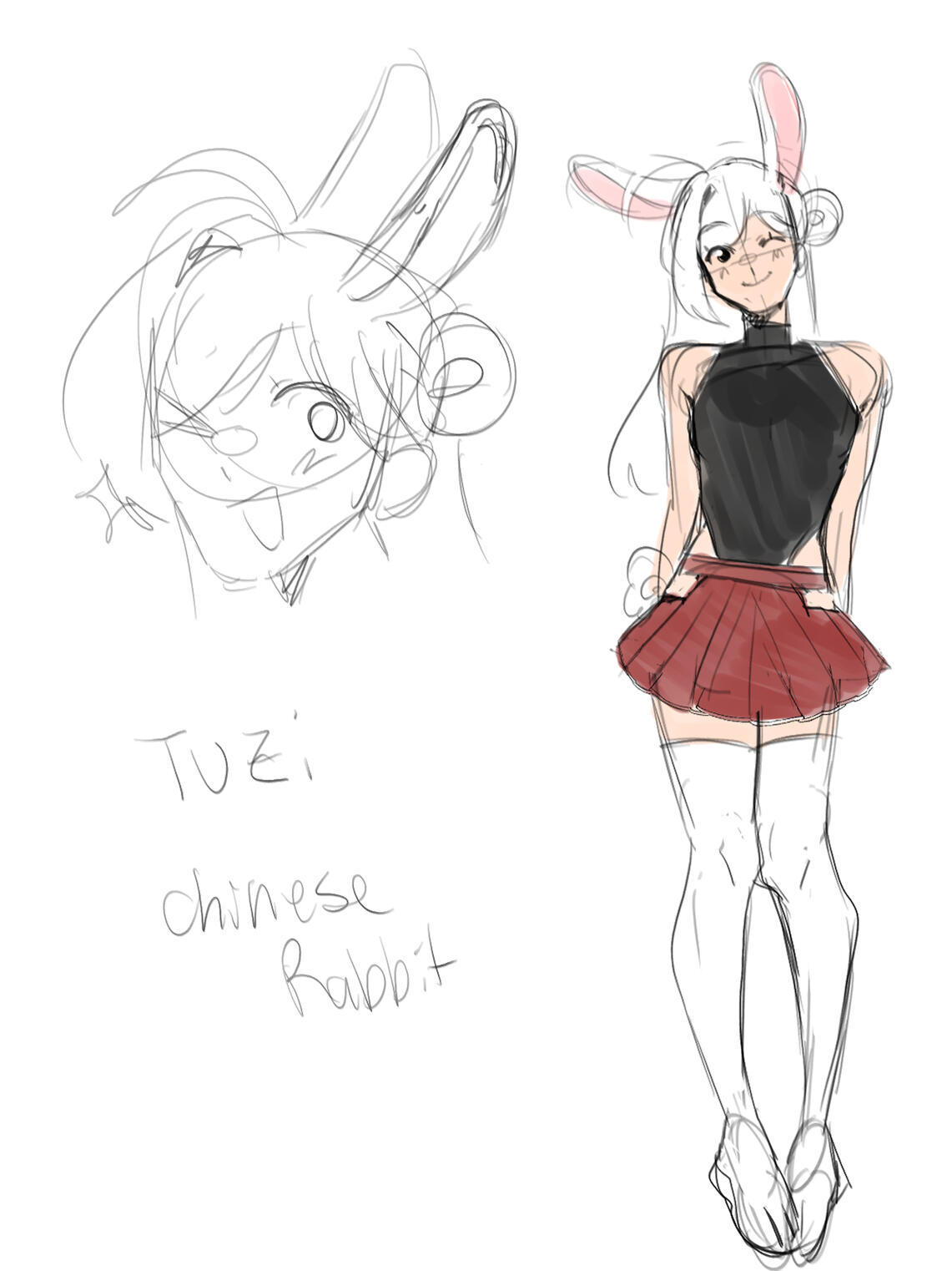 Tuzi ref